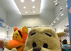 dmail006
