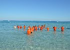 DSC 0845