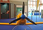 DSC 0386