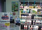 IMG 7852